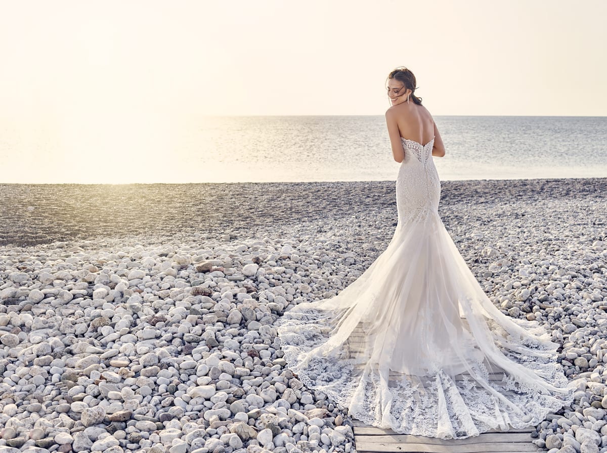 The Wedding Dress Company Summer Sale