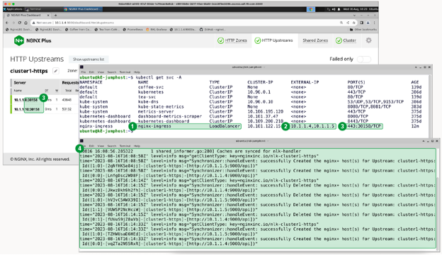 NGINX Plus window